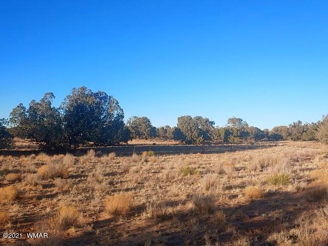 Lot 30 River Meadows Ranch Avenue, Unit 1 Eagar, AZ 85925 - Photo 14 of 24
