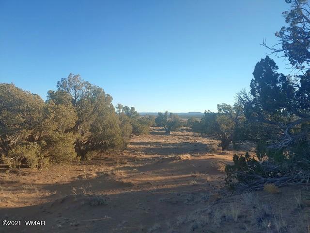Lot 30 River Meadows Ranch Avenue, Unit 1 Eagar, AZ 85925 - Photo 16 of 24