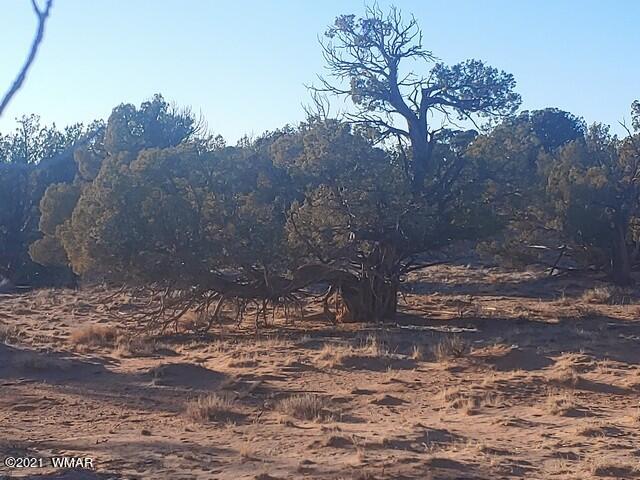 Lot 30 River Meadows Ranch Avenue, Unit 1 Eagar, AZ 85925 - Photo 17 of 24