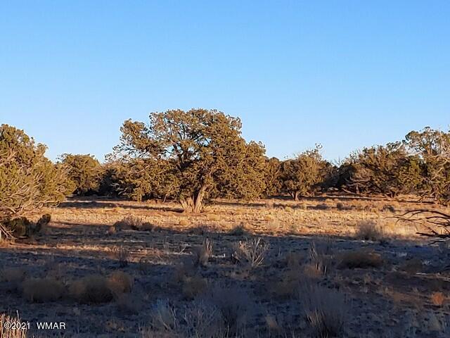 Lot 30 River Meadows Ranch Avenue, Unit 1 Eagar, AZ 85925 - Photo 18 of 24