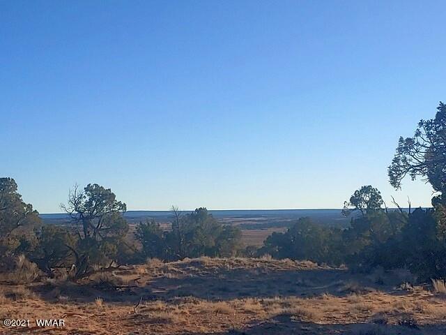 Lot 30 River Meadows Ranch Avenue, Unit 1 Eagar, AZ 85925 - Photo 19 of 24