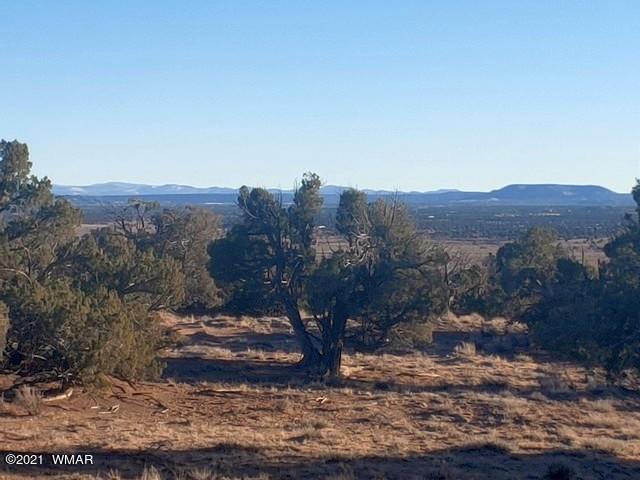 Lot 30 River Meadows Ranch Avenue, Unit 1 Eagar, AZ 85925 - Photo 2 of 24