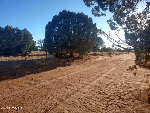 Lot 30 River Meadows Ranch Avenue, Unit 1 Eagar, AZ 85925 - Photo 21 of 24