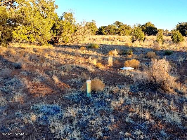 Lot 30 River Meadows Ranch Avenue, Unit 1 Eagar, AZ 85925 - Photo 22 of 24