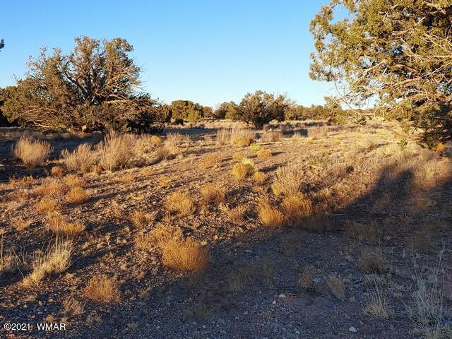 Lot 30 River Meadows Ranch Avenue, Unit 1 Eagar, AZ 85925 - Photo 23 of 24
