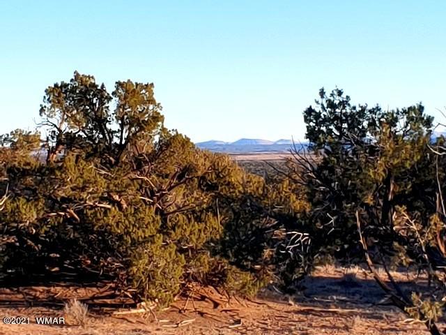 Lot 30 River Meadows Ranch Avenue, Unit 1 Eagar, AZ 85925 - Photo 24 of 24