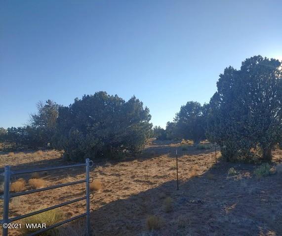 Lot 30 River Meadows Ranch Avenue, Unit 1 Eagar, AZ 85925 - Photo 6 of 24