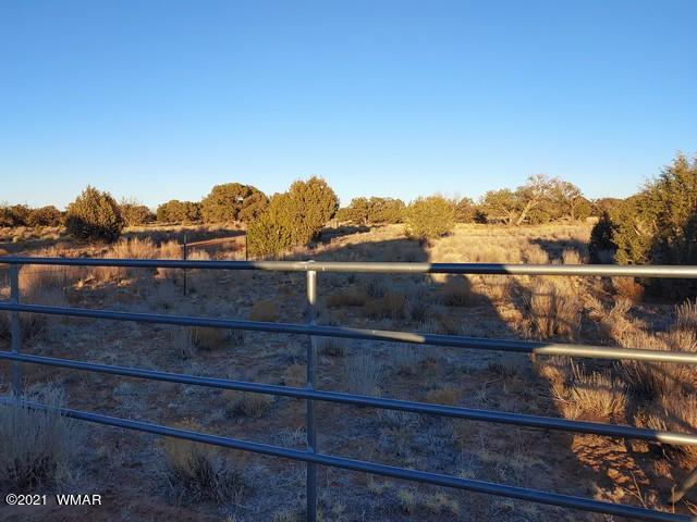 Lot 30 River Meadows Ranch Avenue, Unit 1 Eagar, AZ 85925 - Photo 7 of 24