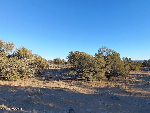 Lot 30 River Meadows Ranch Avenue, Unit 1 Eagar, AZ 85925 - Photo 8 of 24
