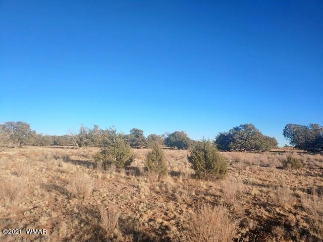 Lot 30 River Meadows Ranch Avenue, Unit 1 Eagar, AZ 85925 - Photo 9 of 24