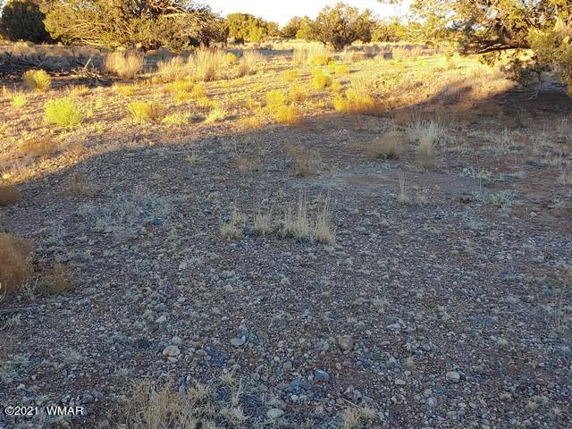 Lot 30 River Meadows Ranch Avenue, Unit 1 Eagar, AZ 85925 - Photo 10 of 24