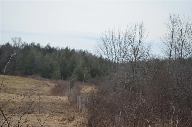 $935,000 | 371 Hoben Road, McDonough, NY 13830