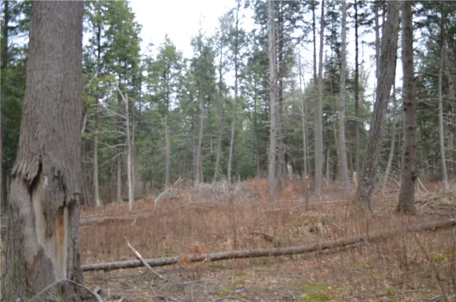 $935,000 | 371 Hoben Road, McDonough, NY 13830