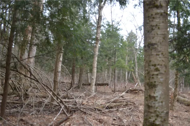 $935,000 | 371 Hoben Road, McDonough, NY 13830