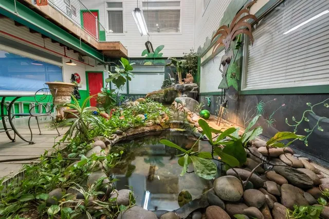 a view of a chairs and table in a backyard