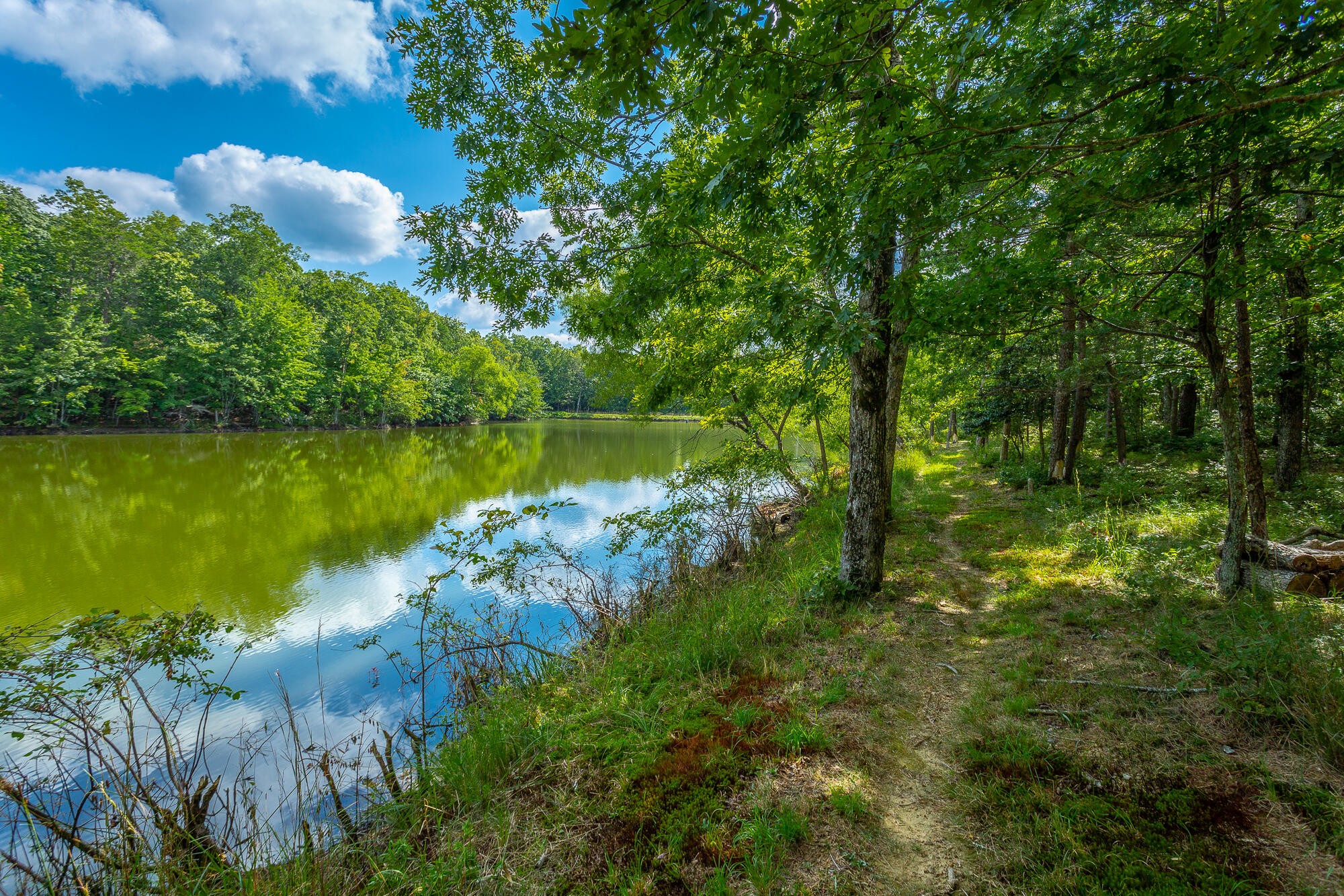 6 Highlands Forest Road Cloudland, GA 30731 - Photo 63 of 100 Gallery Image 63