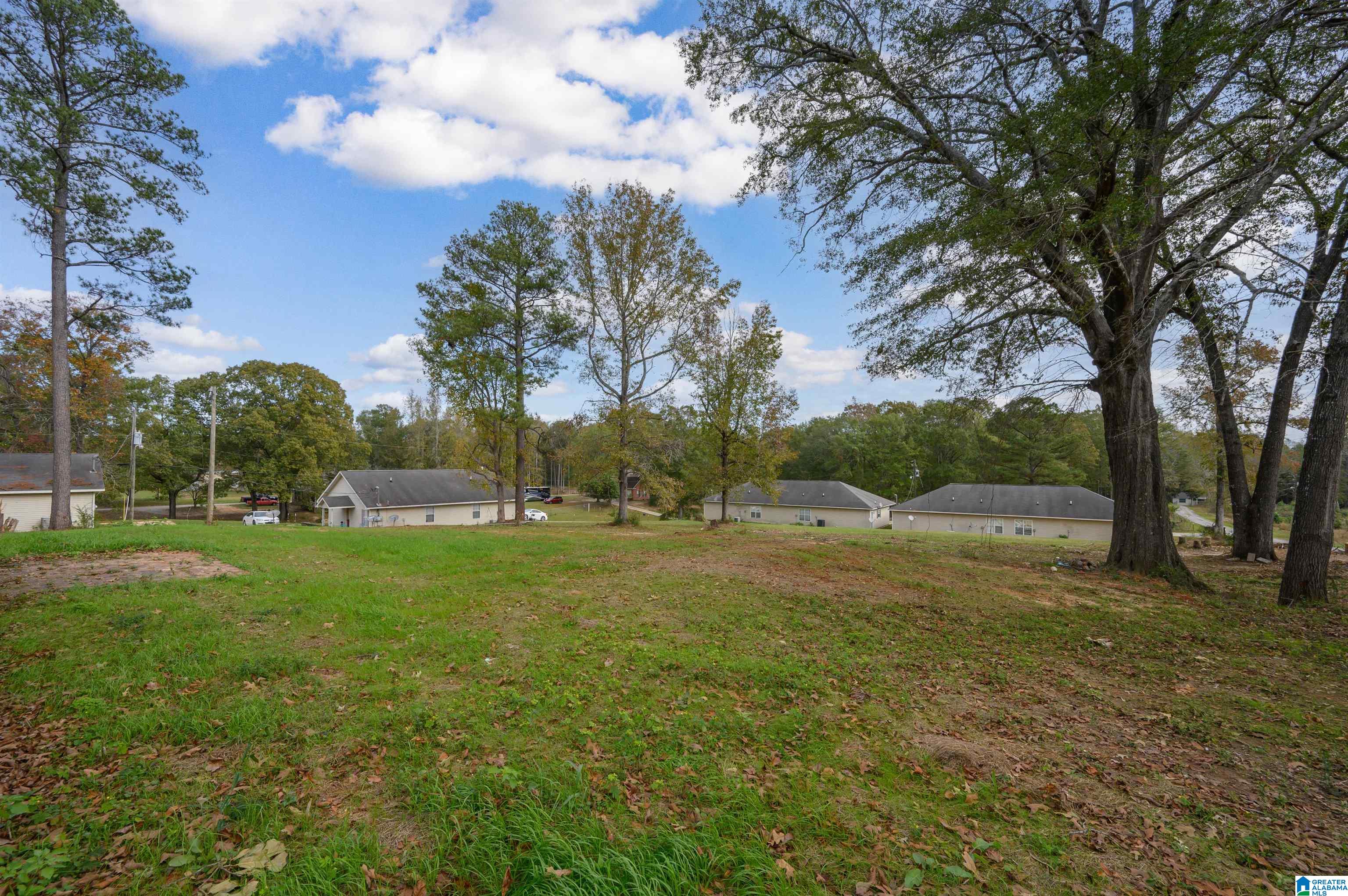 233 Statesville Road West Blocton, AL 35184 - Photo 44 of 55
