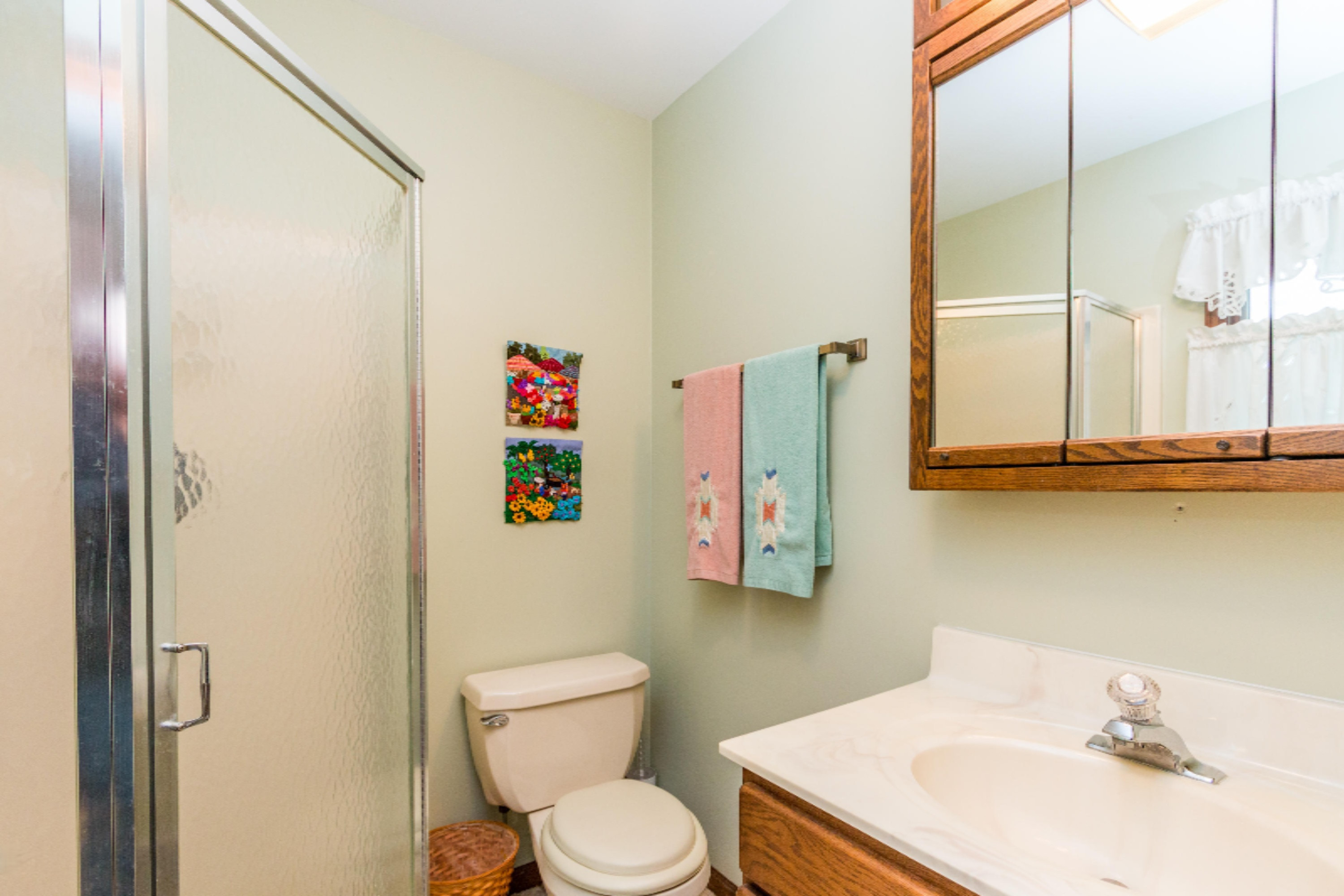 12719 Sleepy Hollow Road Three Rivers, MI 49093 - Photo 17 of 32 Master Bath