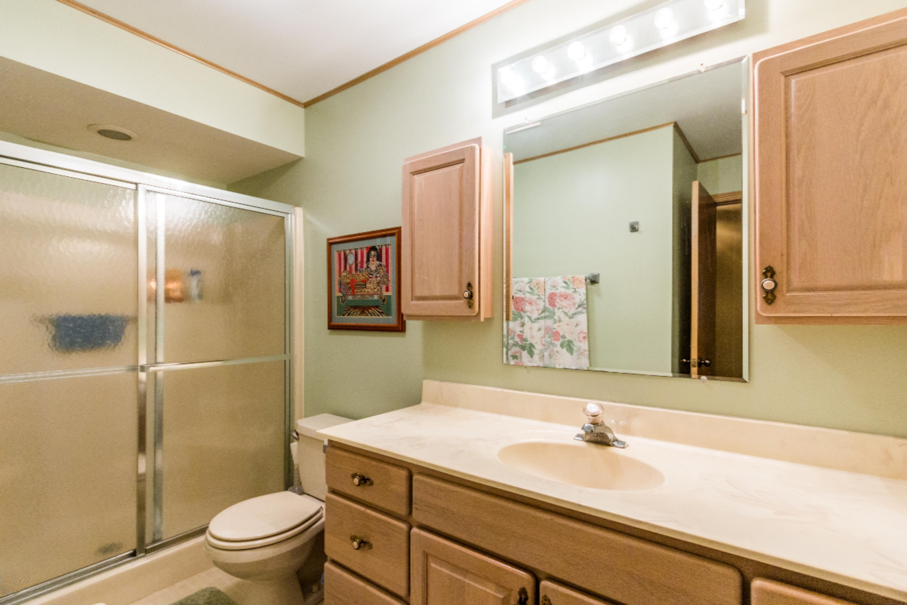 12719 Sleepy Hollow Road Three Rivers, MI 49093 - Photo 25 of 32 Bathroom
