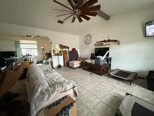 a living room with furniture windows and a ceiling fan