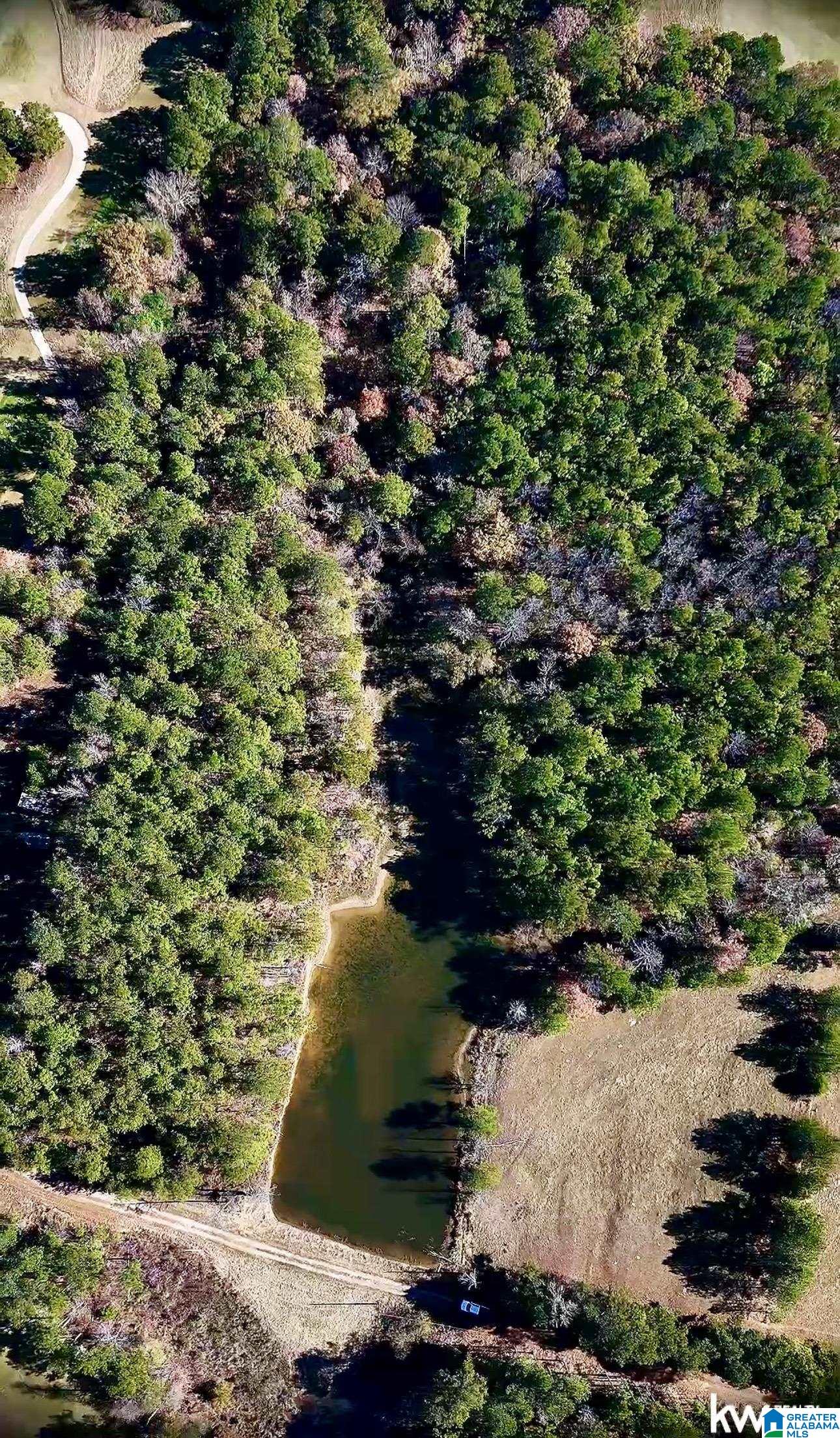 0 Gilberts Ferry Road Ohatchee, AL 36271 - Photo 6 of 11