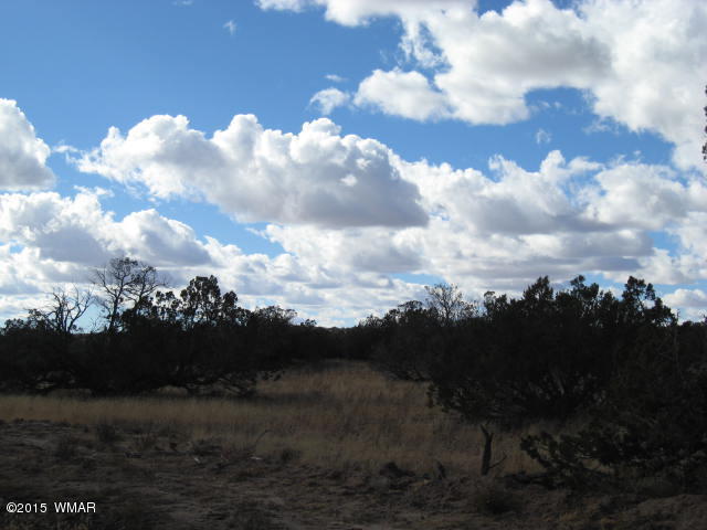 95 Witch Well Road St. Johns, AZ 85936 - Photo 1 of 1