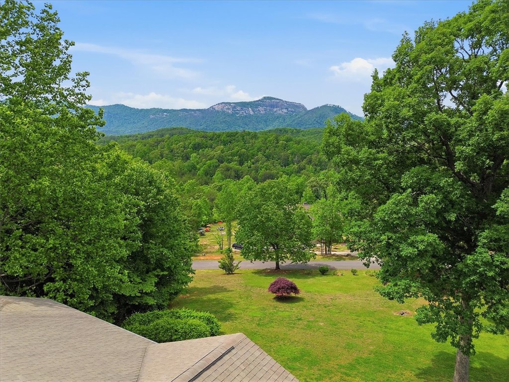 100 Brittany Way Pickens, SC 29671 - Photo 33 of 50