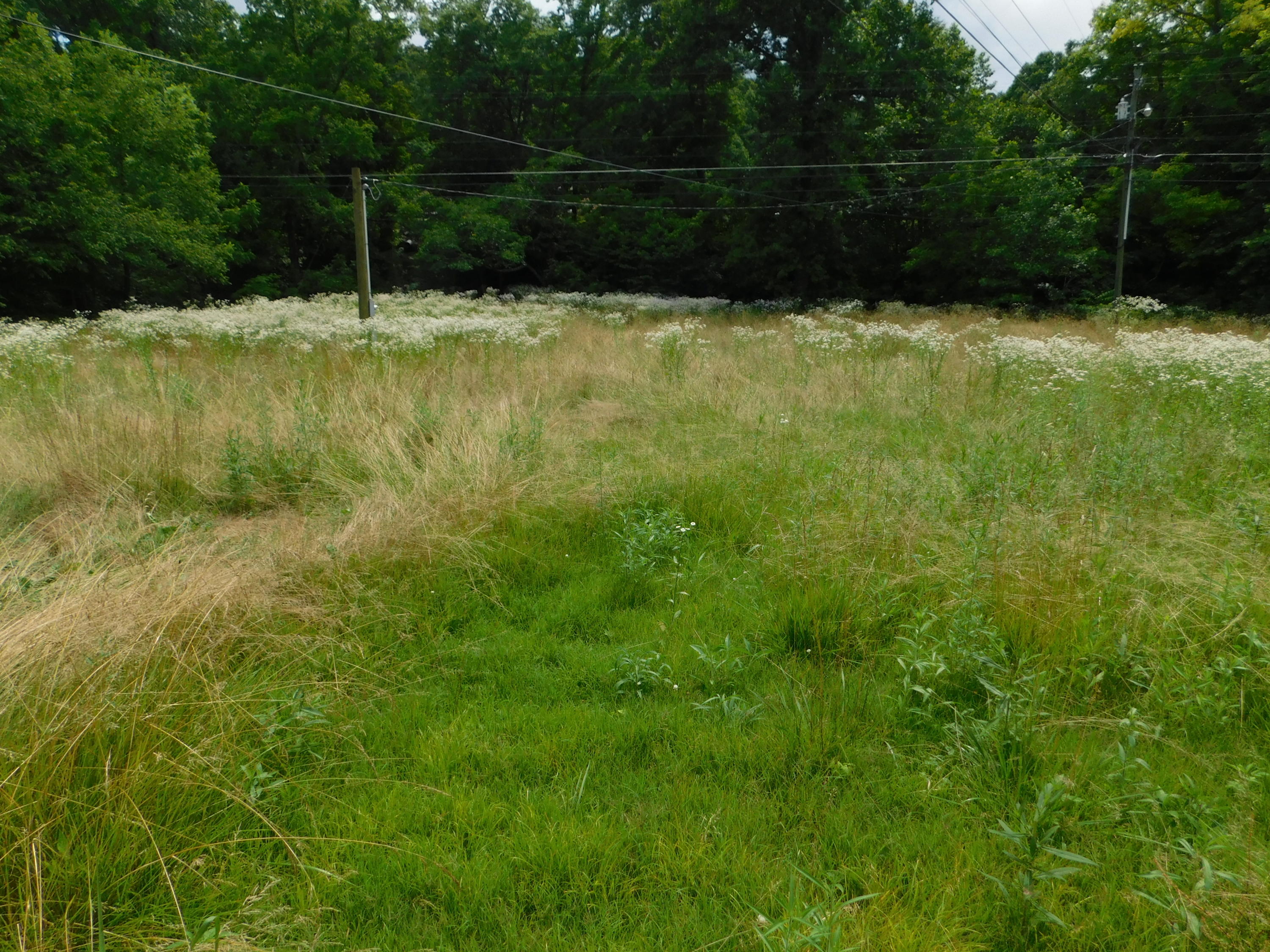304 Jenkins Road, Unit 1 Bluff City, TN 37618 - Photo 12 of 12 DSCN0517