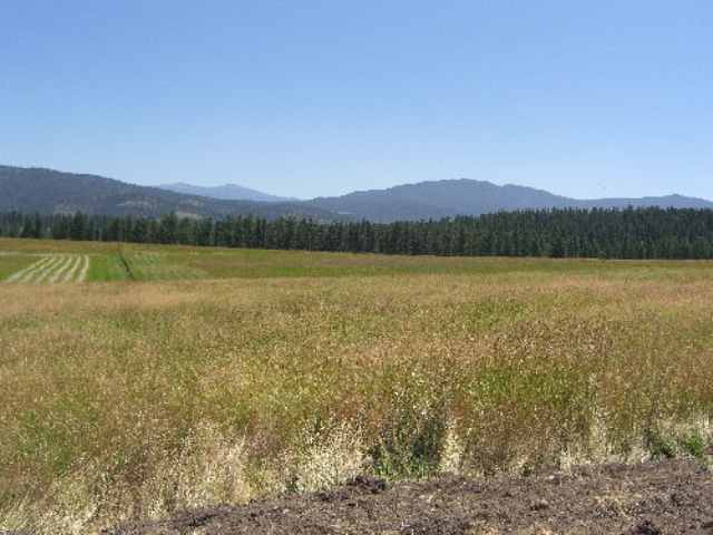 822 L Barzee Road Colville, WA 99114 - Photo 1 of 6