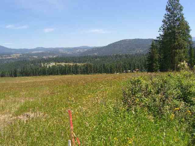 822 L Barzee Road Colville, WA 99114 - Photo 3 of 6
