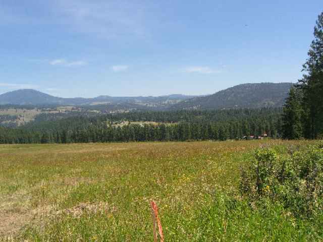 822 L Barzee Road Colville, WA 99114 - Photo 4 of 6