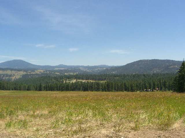 822 L Barzee Road Colville, WA 99114 - Photo 5 of 6