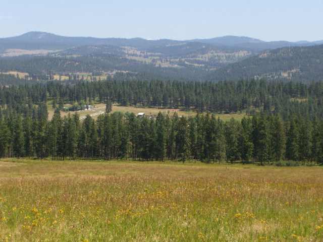 822 L Barzee Road Colville, WA 99114 - Photo 6 of 6