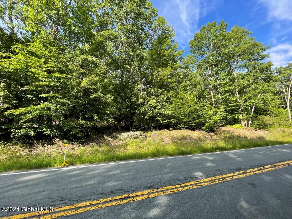 L8.2 Taborton Road Sand Lake, NY 12153 - Photo 1 of 18 From Road