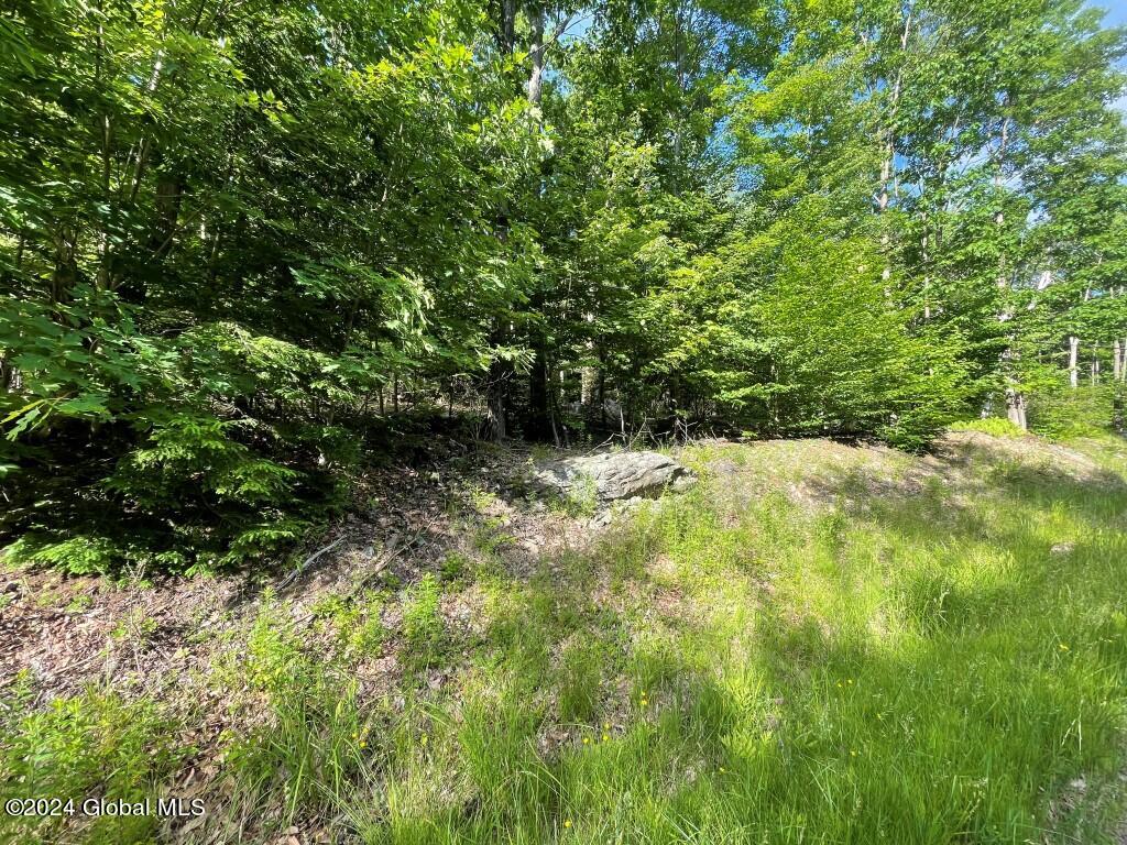 L8.2 Taborton Road Sand Lake, NY 12153 - Photo 11 of 18 10
