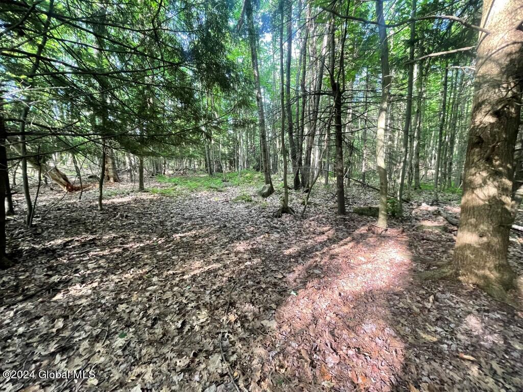 L8.2 Taborton Road Sand Lake, NY 12153 - Photo 12 of 18 11