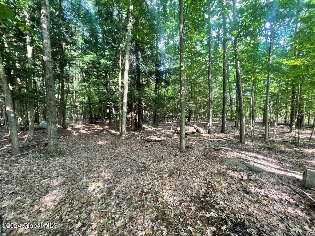 L8.2 Taborton Road Sand Lake, NY 12153 - Photo 13 of 18 12