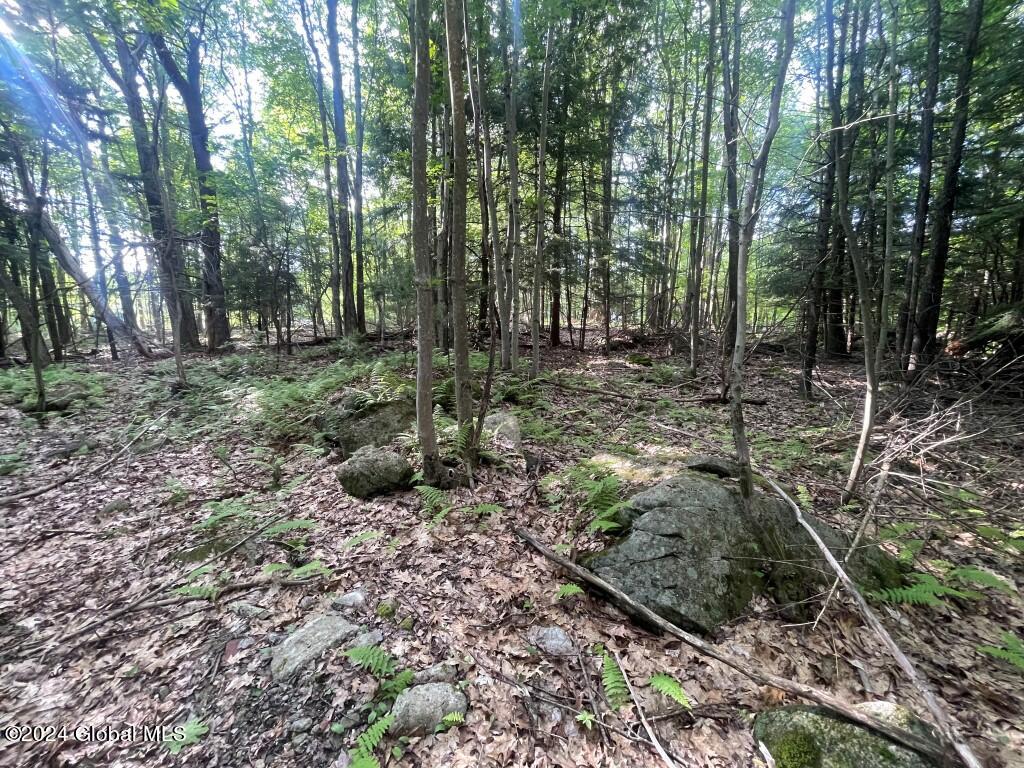 L8.2 Taborton Road Sand Lake, NY 12153 - Photo 14 of 18 13
