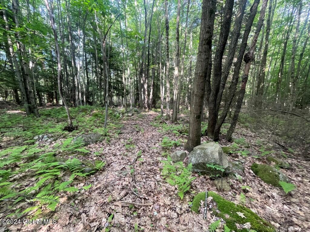 L8.2 Taborton Road Sand Lake, NY 12153 - Photo 15 of 18 14