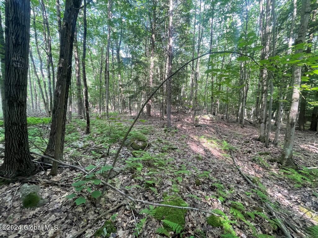 L8.2 Taborton Road Sand Lake, NY 12153 - Photo 16 of 18 15