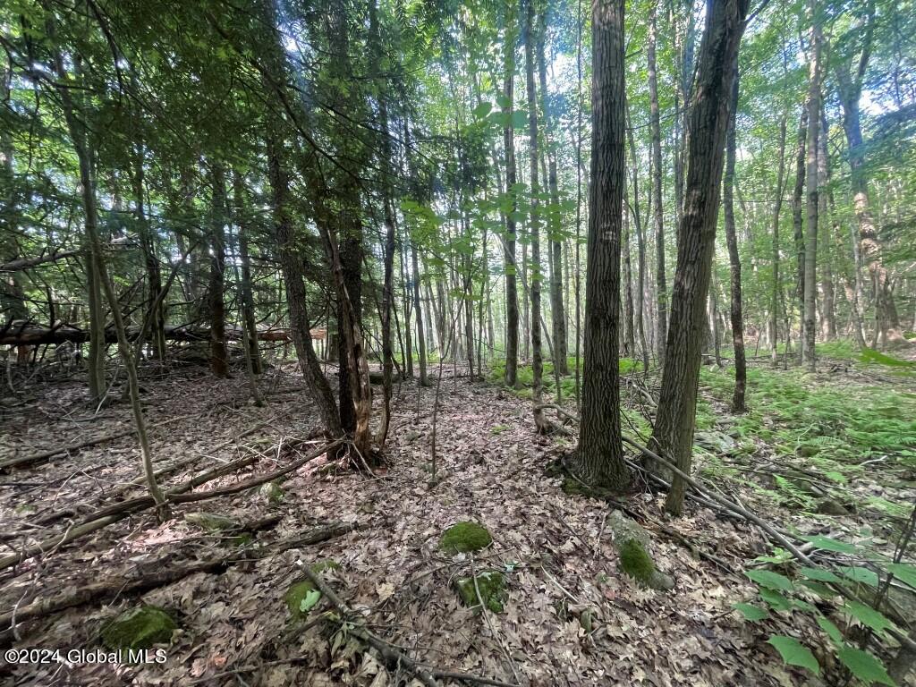 L8.2 Taborton Road Sand Lake, NY 12153 - Photo 17 of 18 16