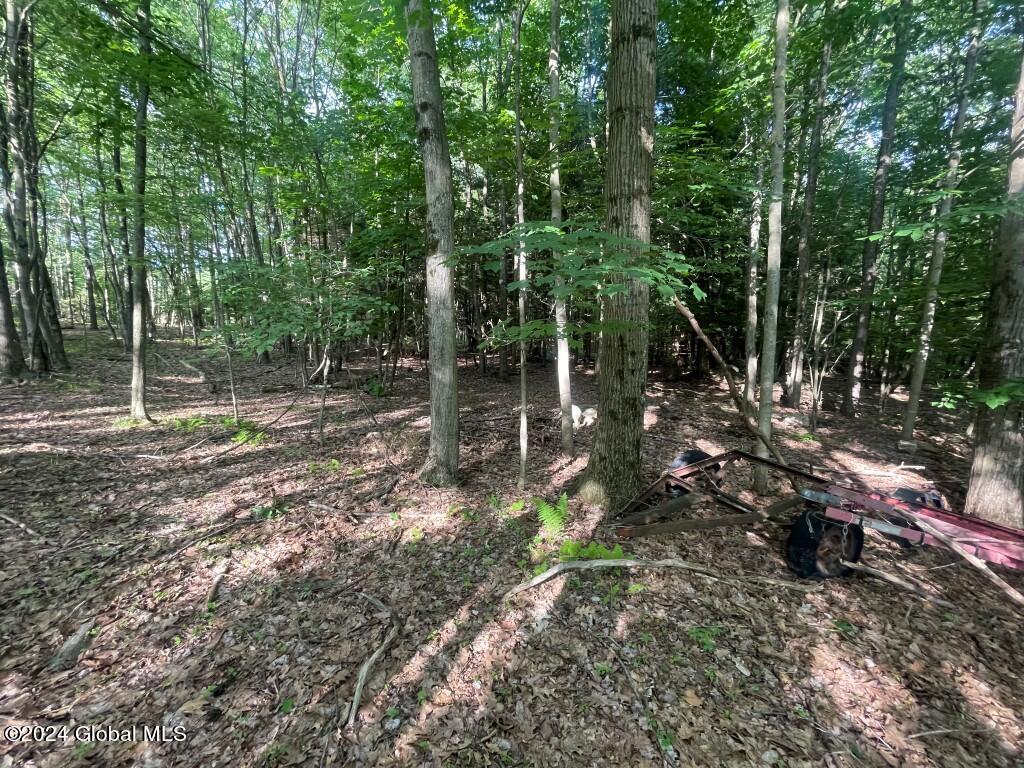 L8.2 Taborton Road Sand Lake, NY 12153 - Photo 18 of 18 17