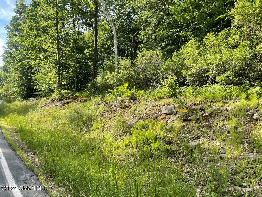 L8.2 Taborton Road Sand Lake, NY 12153 - Photo 3 of 18 From Road