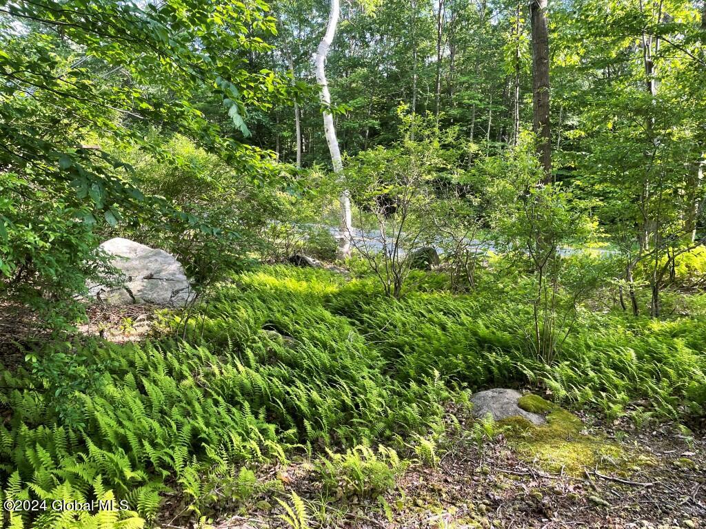 L8.2 Taborton Road Sand Lake, NY 12153 - Photo 4 of 18 Beautiful