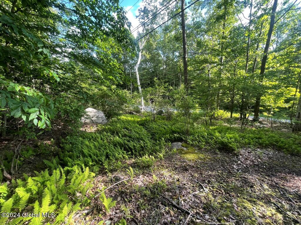 L8.2 Taborton Road Sand Lake, NY 12153 - Photo 5 of 18 4