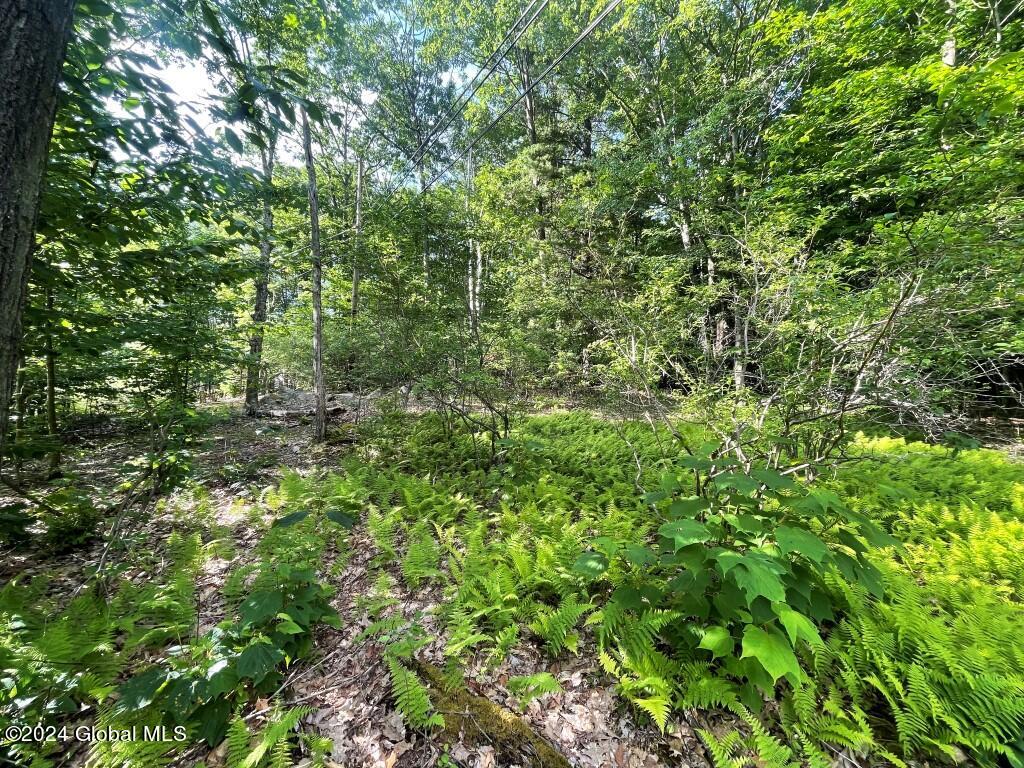 L8.2 Taborton Road Sand Lake, NY 12153 - Photo 6 of 18 5
