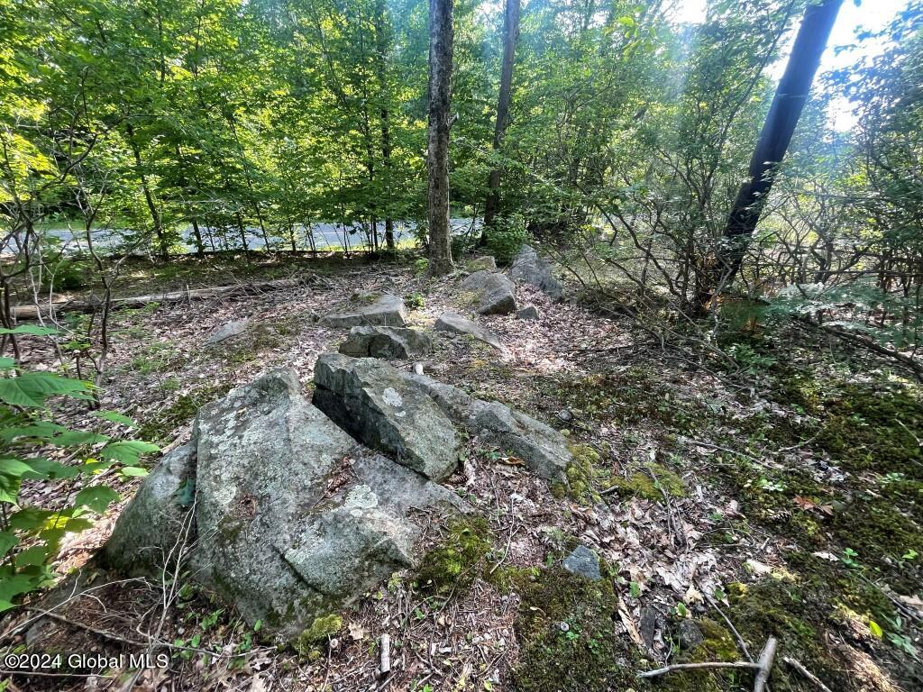 L8.2 Taborton Road Sand Lake, NY 12153 - Photo 8 of 18 7