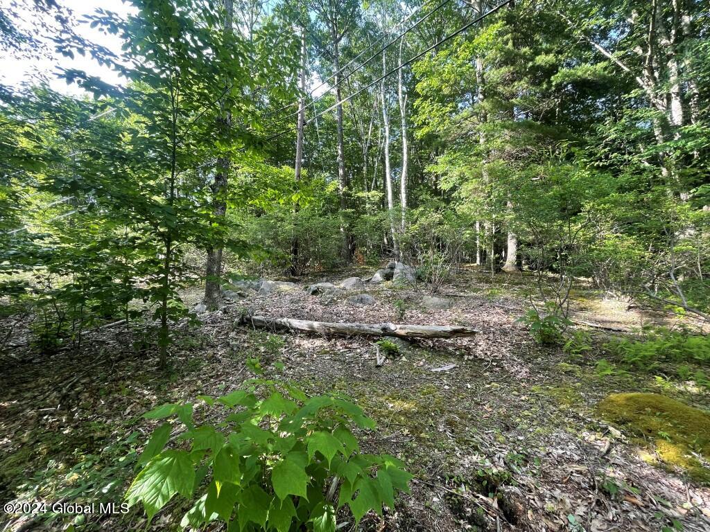L8.2 Taborton Road Sand Lake, NY 12153 - Photo 10 of 18 9