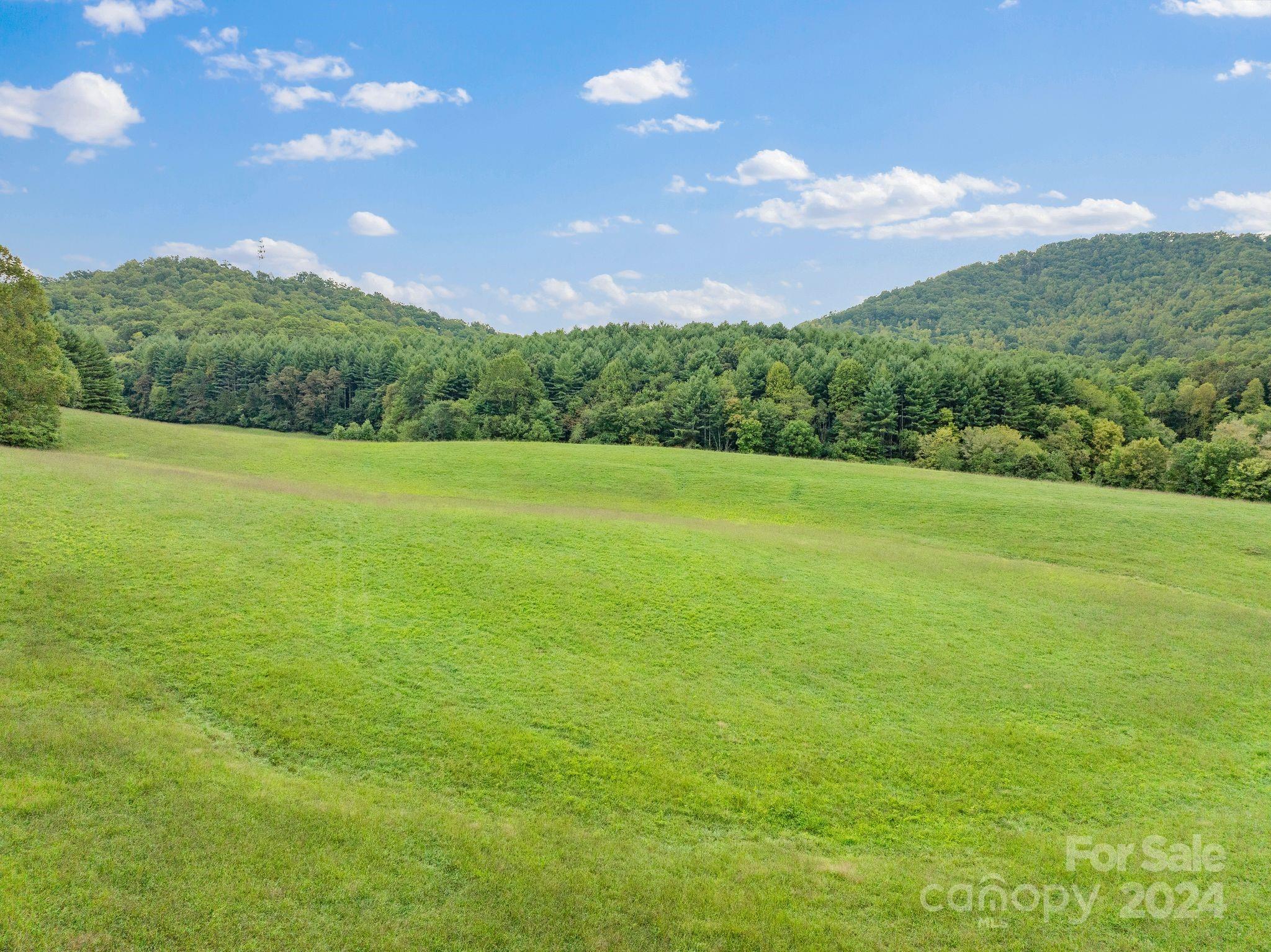 232 Dobson Road Franklin, NC 28734 - Photo 3 of 37 Gallery Image 3