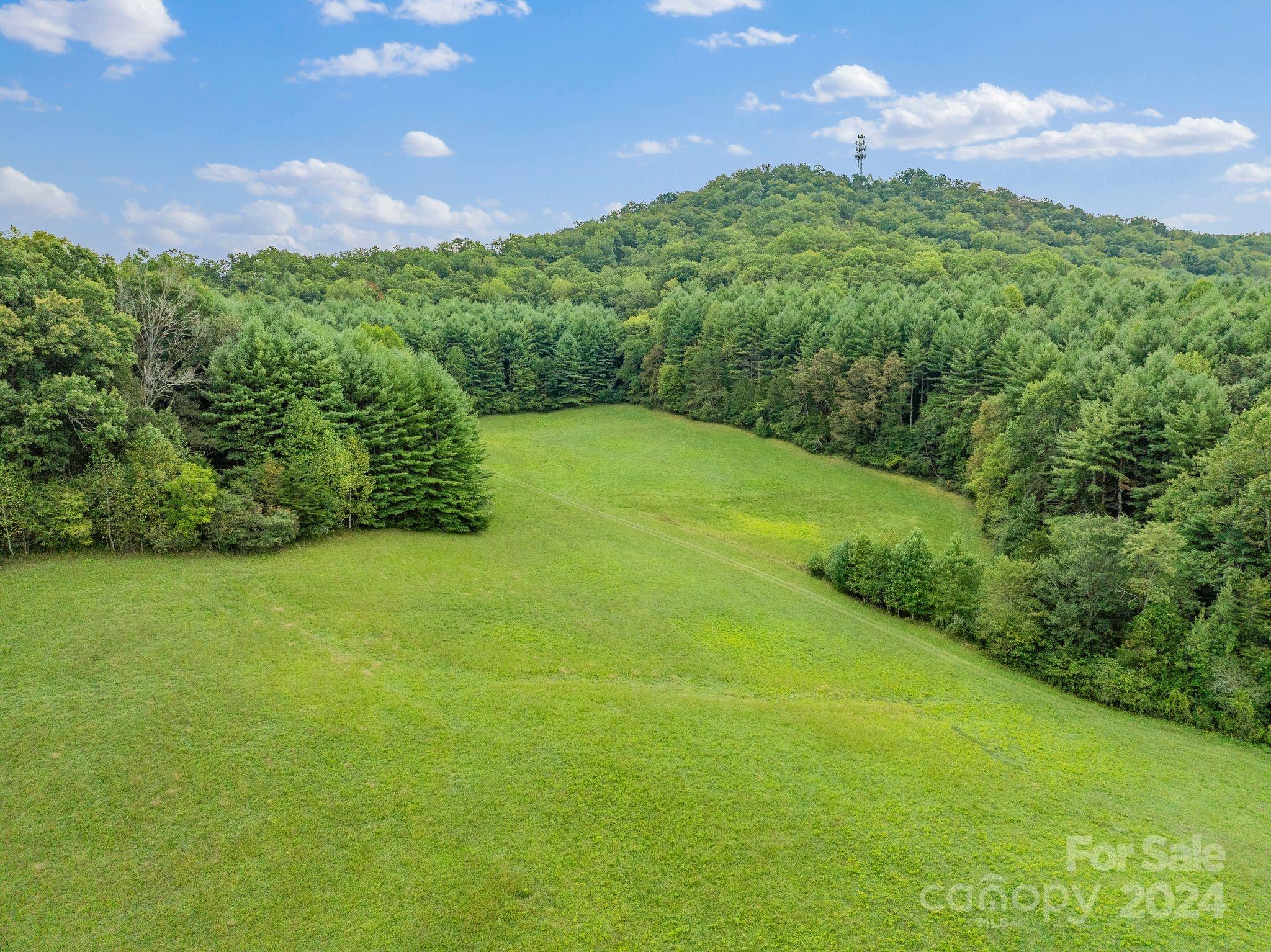 232 Dobson Road Franklin, NC 28734 - Photo 4 of 37 Gallery Image 4